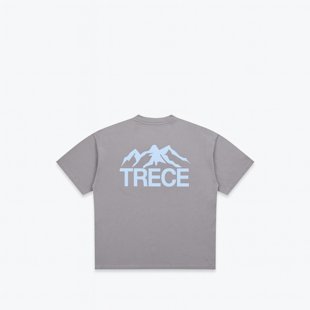 Treduce tee - Grey