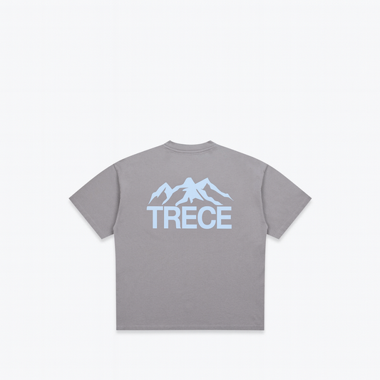 Treduce tee - Grey